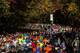 NEW YORK, NY - NOVEMBER 03: Runners run through Central Park while participating in the ING New York City Marathon on November 3, 2013 in New York City. With the Boston Marathon bombing from earlier this year still fresh in many minds, security is especially high this year at the New York City marathon. (Photo by Andrew Burton/Getty Images)