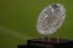 CLEMSON, SC - AUGUST 31: A view of the BCS National Championship Trophy during their game at Memorial Stadium on August 31, 2013 in Clemson, South Carolina. (Photo by Streeter Lecka/Getty Images)