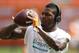 Oct 20, 2013; Miami Gardens, FL, USA; Miami Dolphins wide receiver Mike Wallace before a game against the Buffalo Bills at Sun Life Stadium. Mandatory Credit: Robert Mayer-USA TODAY Sports