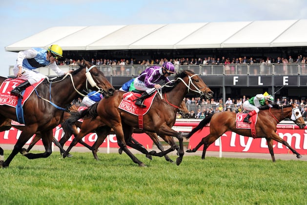 Emirates Stakes Day 2013 Results: Winner, Payouts and Order of Finish