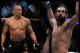 Georges St-Pierre and Johny Hendricks