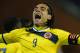 BRUSSELS, BELGIUM - NOVEMBER 14: Radamel Falcao of Columbia celebrates scoring their first goal during the International Friendly match between Belgium and Columbia at King Baudouin Stadium on November 14, 2013 in Brussels, Belgium. (Photo by Christopher Lee/Getty Images)