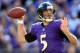 BALTIMORE, MD - NOVEMBER 10: Quarterback Joe Flacco #5 of the Baltimore Ravens throws a pass against the Cincinnati Bengals at M&T Bank Stadium on November 10, 2013 in Baltimore, Maryland. (Photo by Rob Carr/Getty Images)