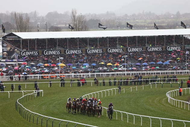 Cheltenham Meeting 2013: Updates on Winners, Placings and Payouts