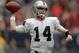 Nov 17, 2013; Houston, TX, USA; Oakland Raiders quarterback Matt McGloin (14) throws a pass against the Houston Texans at Reliant Stadium. The Raiders defeated the Texans 28-23. Mandatory Credit: Kirby Lee-USA TODAY Sports