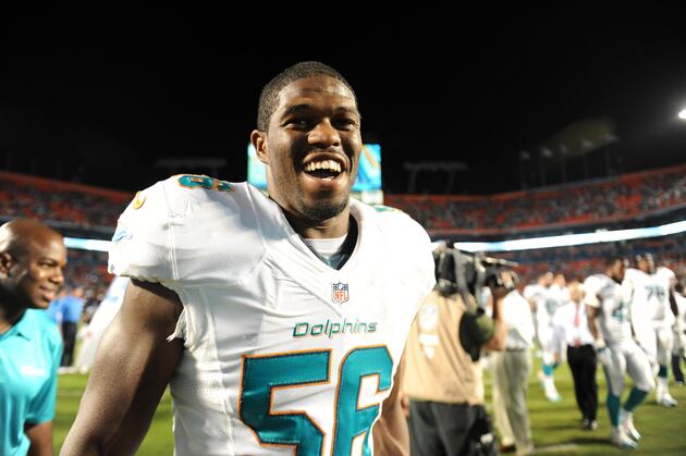 Dolphins Gain a Grip on Hunt for Playoffs