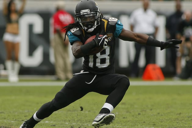 Jaguars Rookie Receiver Ace Sanders Shows Good Signs, but Work Remains