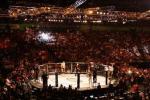 UFC to Have More Than 40 Events in 2014