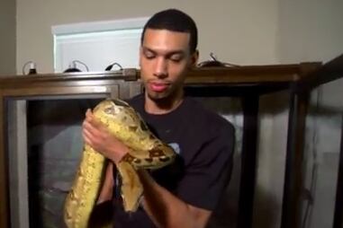 Meet Danny Green's Flesh-Eating Pet