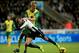 NEWCASTLE UPON TYNE, ENGLAND - NOVEMBER 23: Loic Remy of Newcastle is tackled by Michael Turner of Norwich during the Barclay's Premier League match between Newcastle United and Norwich City at St James' Park on November 23, 2013 in Newcastle upon Tyne, England. (Photo by Richard Heathcote/Getty Images)