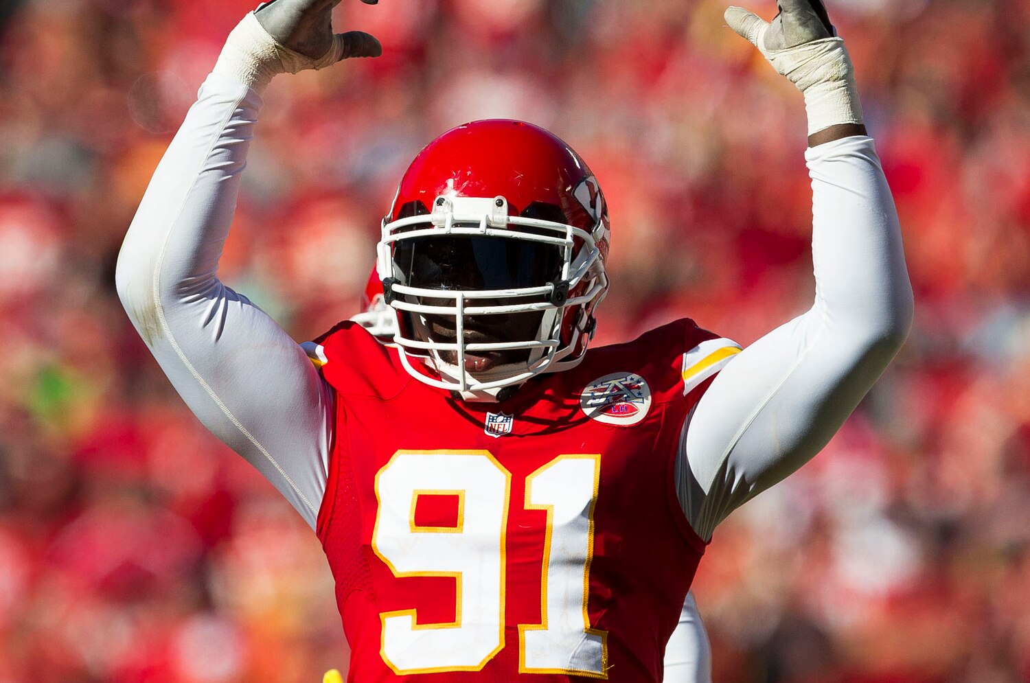 Breaking Down Tamba Hali�s Ankle Injury Bleacher Report