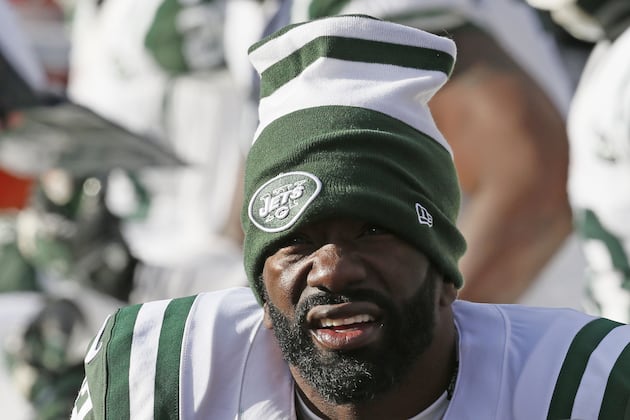 Ed Reed, Jets Worried About Dolphins Deep Threat Mike Wallace
