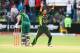 PORT ELIZABETH, SOUTH AFRICA - NOVEMBER 27: An unsuccessful appeal from Junaid Khan of Pakistan during the 2nd One Day International match between South Africa and Pakistan at AXXESS St Georges on November 27, 2013 in Port Elizabeth, South Africa. (Photo by Richard Huggard/Gallo Images)