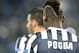 TURIN, ITALY - NOVEMBER 27: Paul Pogba of Juventus prior to the UEFA Champions League Group B match between Juventus and FC Copenhagen at Juventus Arena on November 27, 2013 in Turin, Italy. (Photo by Claudio Villa/Getty Images)