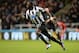 NEWCASTLE UPON TYNE, ENGLAND - NOVEMBER 30: Moussa Sissoko of Newcastle United celebrates scoring his team's second goal during the Barclays Premier League match between Newcastle United and West Bromwich Albion at St James' Park on November 30, 2013 in Newcastle upon Tyne, England. (Photo by Tony Marshall/Getty Images)