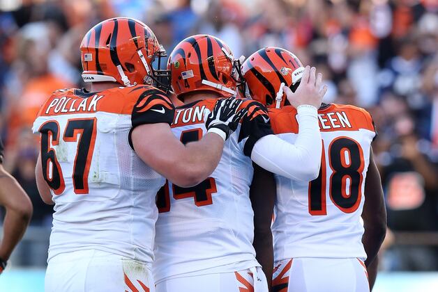 Where Ravens Stand in AFC Playoff Picture