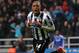 NEWCASTLE UPON TYNE, ENGLAND - NOVEMBER 02: Loic Remy of Newcastle United celebrates scoring their second goal during the Barclays Premier League match between Newcastle United and Chelsea at St James' Park on November 2, 2013 in Newcastle upon Tyne, England. (Photo by Shaun Botterill/Getty Images)