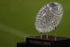 CLEMSON, SC - AUGUST 31: A view of the BCS National Championship Trophy during their game at Memorial Stadium on August 31, 2013 in Clemson, South Carolina. (Photo by Streeter Lecka/Getty Images)