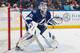 The Lightning's season has been a pleasant surprise, but not everyone has performed up to expectations.