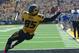 Oct 19, 2013; Columbia, MO, USA; Missouri Tigers wide receiver Marcus Lucas (85) can't hang onto the pass in the end zone during the second half of the game against the Florida Gators at Faurot Field. Missouri won 36-17. Mandatory Credit: Denny Medley-USA TODAY Sports