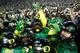 Will the Ducks be in New Orleans in January?