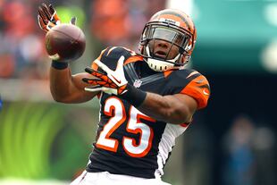 Bernardcatch_crop_north