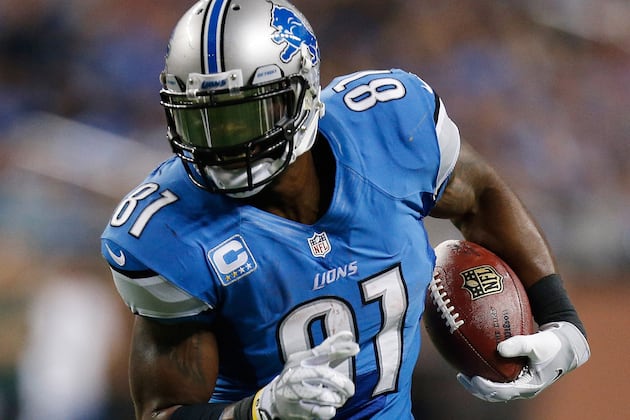 Ravens' Elam on Megatron: He's Old, so We'll Be Physical with Him