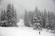 BEAVER CREEK, CO - DECEMBER 04: A course volunteer skis down the side of the Birds of Prey FIS Ski World Cup course on December 4, 2013 in Beaver Creek, Colorado. Downhill training was cancelled for excessive snow. (Photo by Ezra Shaw/Getty Images)