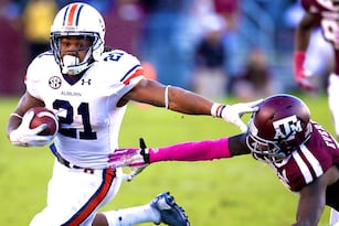185371693_auburn_crop_north