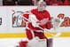 DETROIT, MI - NOVEMBER 19: Jimmy Howard