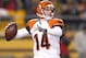 Dec 15, 2013; Pittsburgh, PA, USA; Cincinnati Bengals quarterback Andy Dalton (14) throws the ball against the Pittsburgh Steelers during the second quarter at Heinz Field. The Steelers won 30-20. Mandatory Credit: Charles LeClaire-USA TODAY Sports