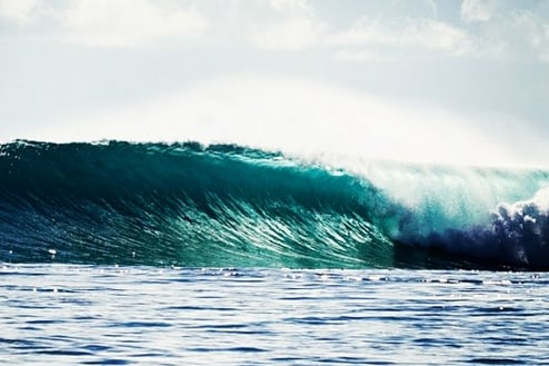 Instagram: Perfect Barrel Captured