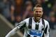 NEWCASTLE UPON TYNE, ENGLAND - OCTOBER 19: Yohan Cabaye of Newcastle United celebrates scoring their first goal during the Barclays Premier League match between Newcastle United and Liverpool at St James' Park on October 19, 2013 in Newcastle upon Tyne, England. (Photo by Julian Finney/Getty Images)
