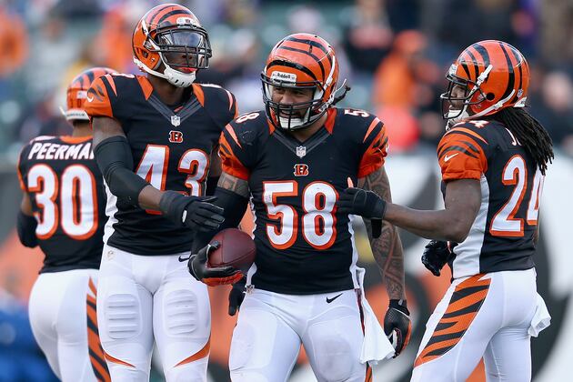 Dolphins Are Rooting for the Bengals