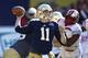 Rees' final chapter for Notre Dame was far from perfect.