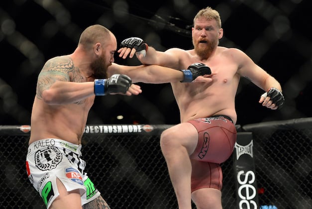 Image result for josh barnett