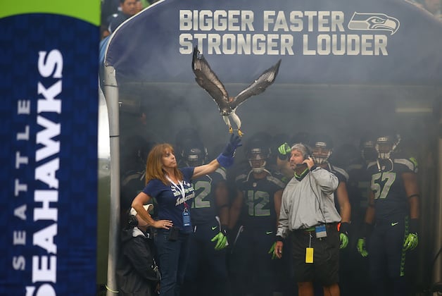 NFL Playoff Picture 2014: Reviewing Road to Super Bowl XLVIII