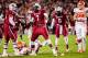 Nov 30, 2013; Columbia, SC, USA; South Carolina Gamecocks defensive end Jadeveon Clowney (7) celebrates a tackle for loss against the Clemson Tigers in the second quarter at Williams-Brice Stadium. Mandatory Credit: Jeff Blake-USA TODAY Sports