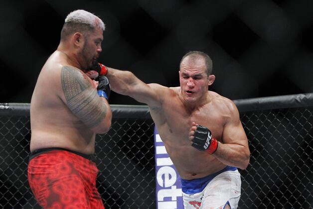 UFC Fantasy Matchmaker January 2014 Edition