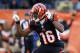 Dec 29, 2013; Cincinnati, OH, USA; Cincinnati Bengals wide receiver Andrew Hawkins (16) celebrates during the game against the Baltimore Ravens in the second half at Paul Brown Stadium. Cincinnati defeated Baltimore 34-17. Mandatory Credit: Mark Zerof-USA TODAY Sports