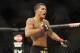 Jan 26, 2013; Chicago, IL, USA; Anthony Pettis celebrates after defeating Donald Cerrone (not pictured) during UFC on FOX 6 at the United Center. Mandatory Credit: David Banks-USA TODAY Sports