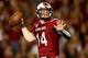 COLUMBIA, SC - NOVEMBER 16: Connor Shaw #14 of the South Carolina Gamecocks drops back to pass against the Florida Gators during their game at Williams-Brice Stadium on November 16, 2013 in Columbia, South Carolina. (Photo by Streeter Lecka/Getty Images)