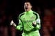SUNDERLAND, ENGLAND - JANUARY 07: Vito Mannone of Sunderland celebrates as Ryan Giggs of Manchester United (not pictured) scores an own goal for their first goal during the Capital One Cup Semi-Final, first leg match between Sunderland and Manchester United at Stadium of Light on January 7, 2014 in Sunderland, England. (Photo by Laurence Griffiths/Getty Images)