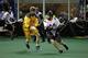 The Minnesota Swarm and Vancouver Stealth are both in action this weekend.