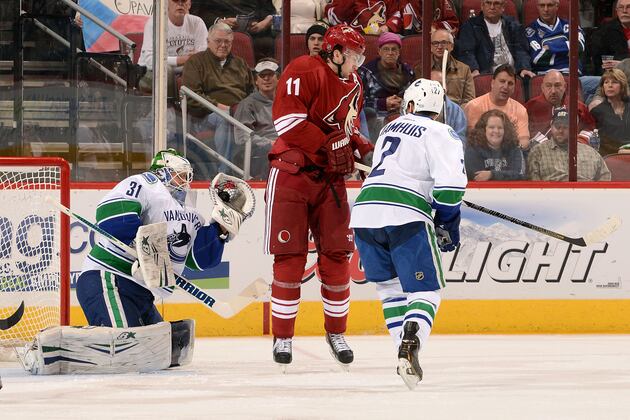 NHL Fines Coyotes' Hanzal for High-Sticking Booth