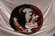 RALEIGH, NC - OCTOBER 16: The Florida State Seminoles logo is shown during the game against the North Carolina State Wolfpack at Carter-Finley Stadium on October 16, 2008 in Raleigh, North Carolina. (Photo by Kevin C. Cox/Getty Images)