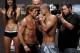 Urijah Faber and Renan Barao