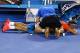 Rafa Nadal receiving treatment during second set of Australian Open