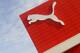ARCHIV: Das Gebaeude der PumaVision Headquarters mit dem Logo der Puma AG in Herzogenaurach (Foto vom 17.02.10). Die Puma AG veroeffentlicht am Donnerstag (26.07.12) in Herzogenaurach das Ergebnis fuer das 2. Quartal 2012. (zu dapd-Text) Foto: Norbert Millauer/dapd