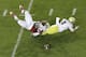 Oregon quarterback Marcus Mariota (8) fumbles the ball as he is tackled by Stanford linebacker James Vaughters during the fourth quarter of an NCAA college football game in Stanford, Calif., Thursday, Nov. 7, 2013. Oregon recovered the ball. Stanford won 26-20. (AP Photo/Jeff Chiu)
